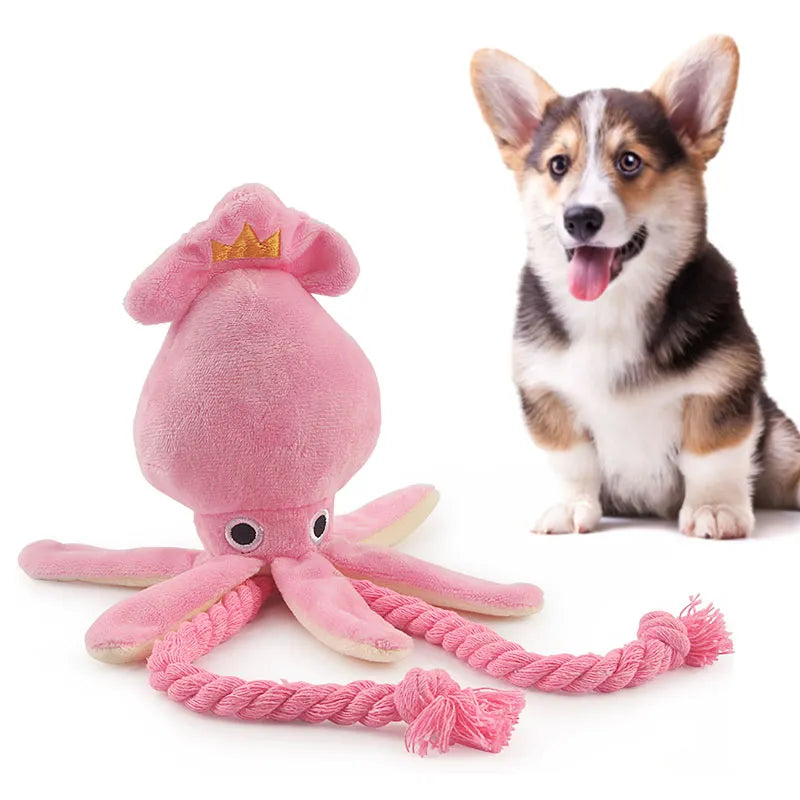 Squeaky Dog Toys