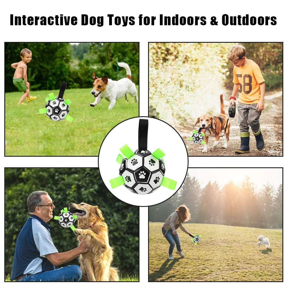 Dog Ball