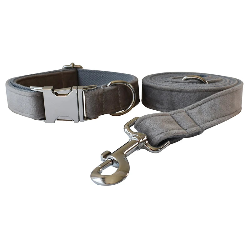 Unique Dog Collar in Collar & Leash