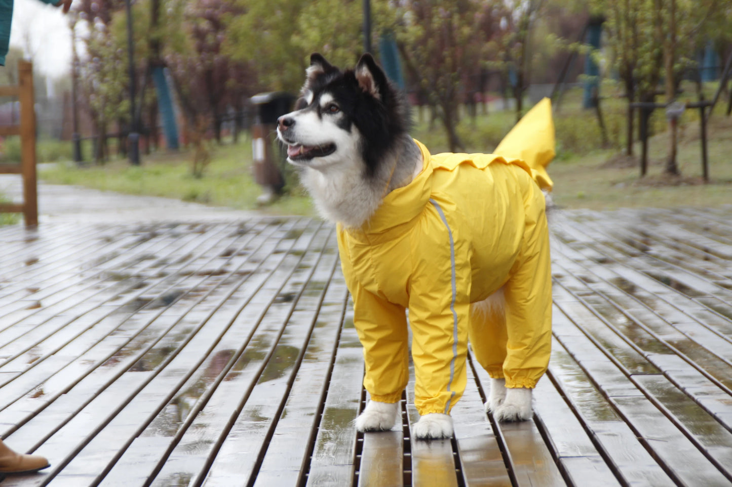 Large Dog Raincoat