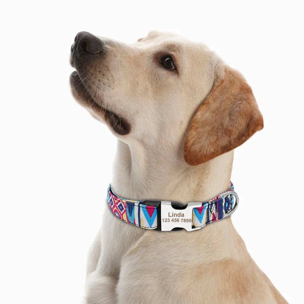 Personalized Nylon Dog Collar