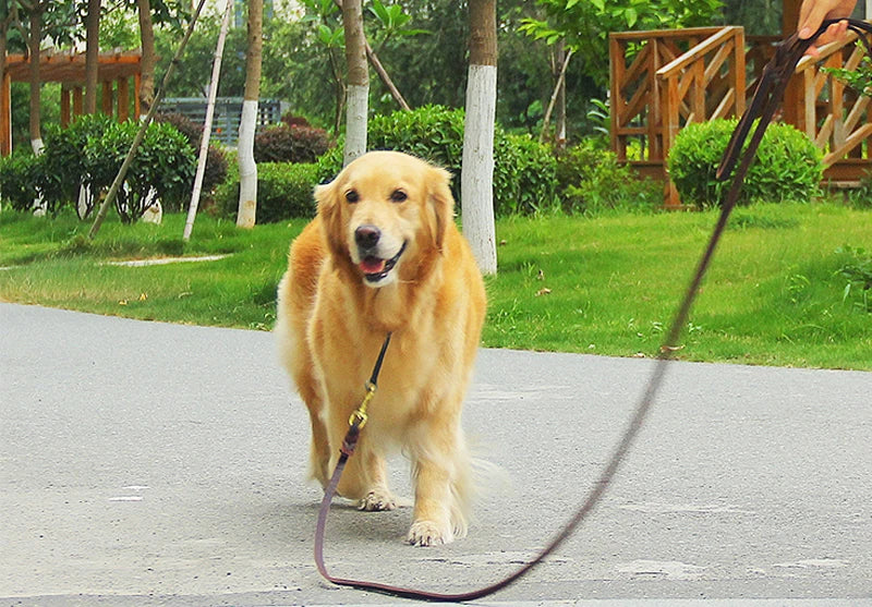 Braided Leather Dog Leash