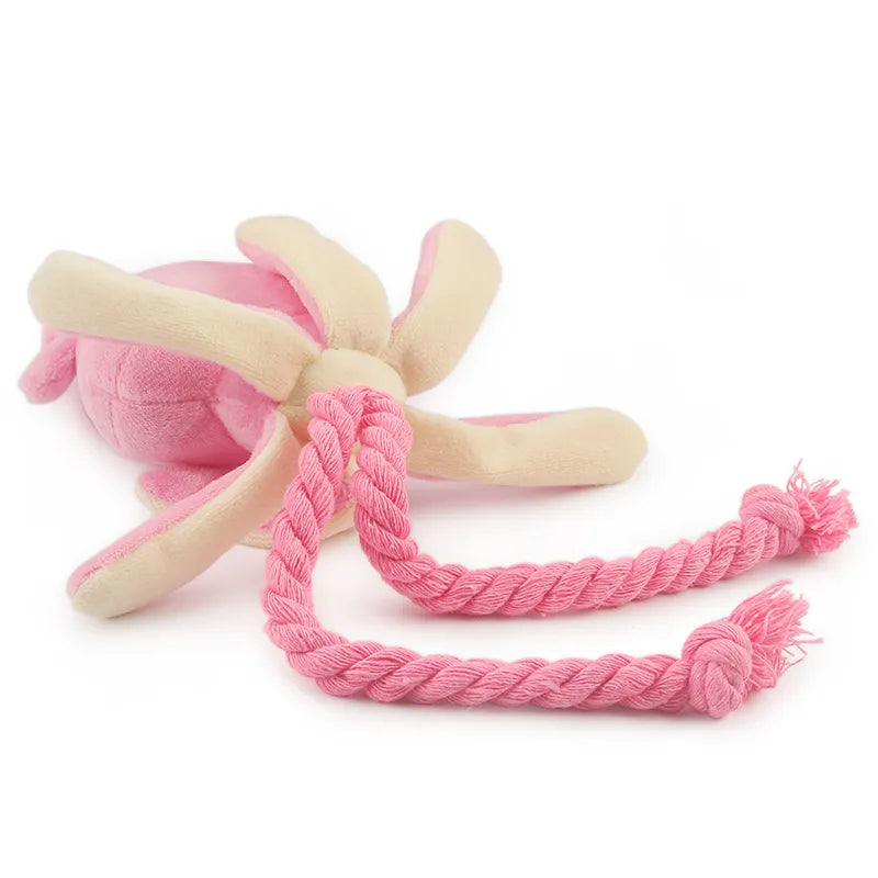 Squeaky Dog Toys