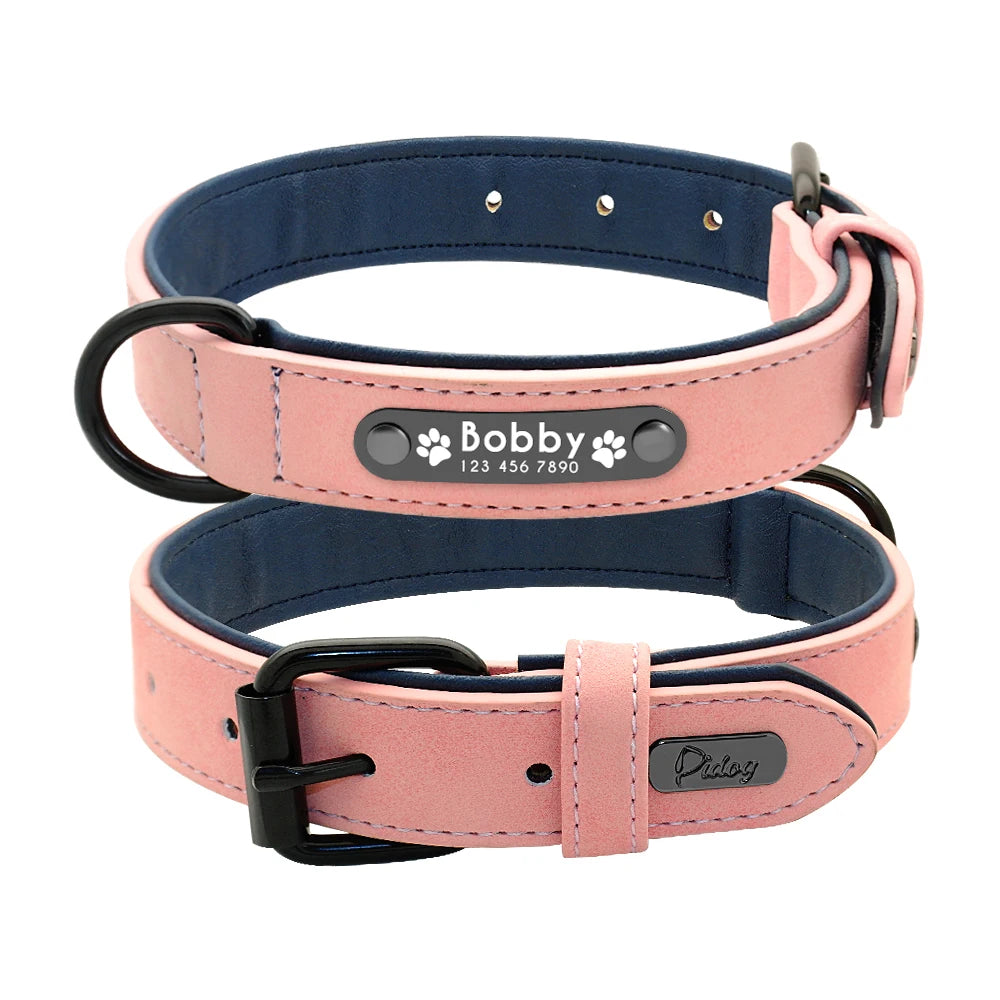 Leather Personalized Dog Collar in Pink Collar