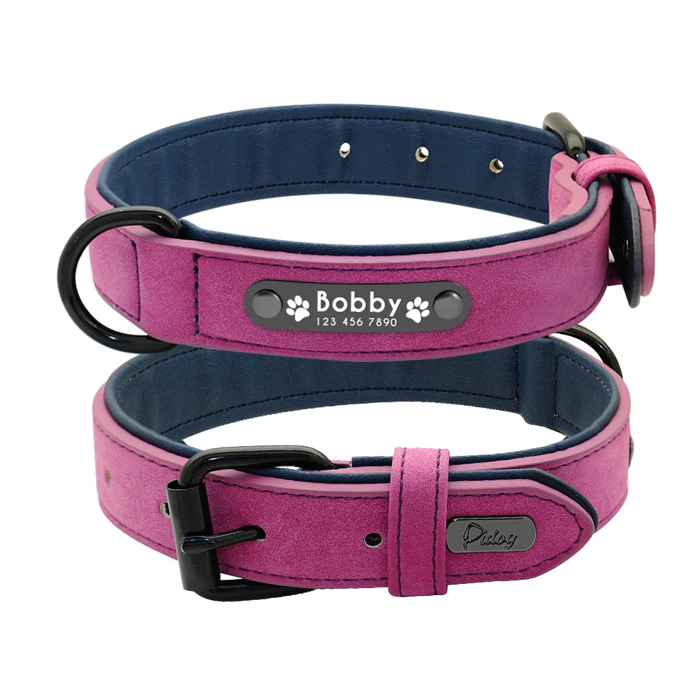 Leather Personalized Dog Collar in Purple Collar