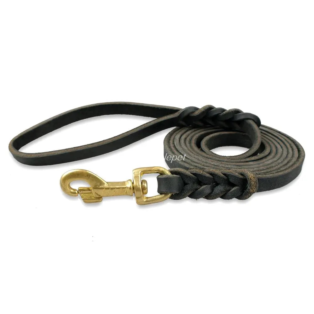 Braided Leather Dog Leash in Black