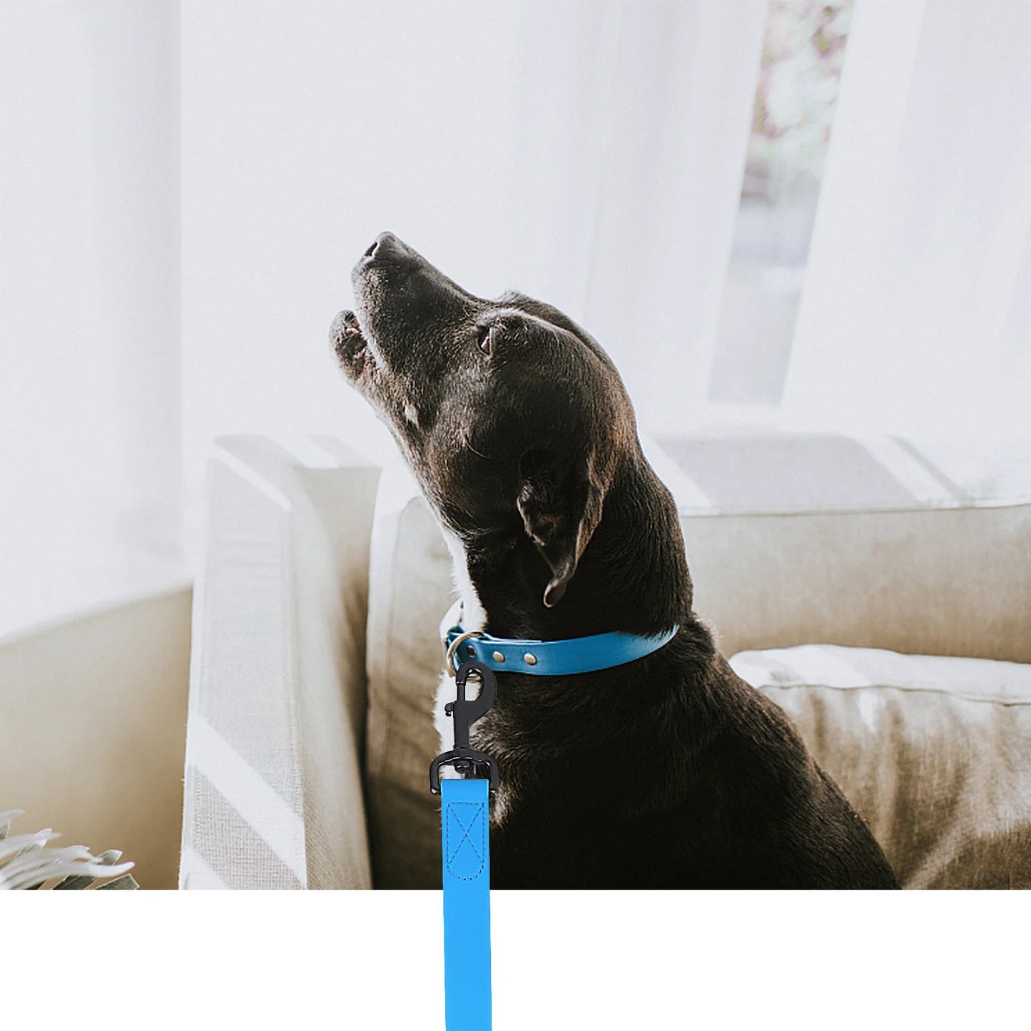 Waterproof Dog Leash