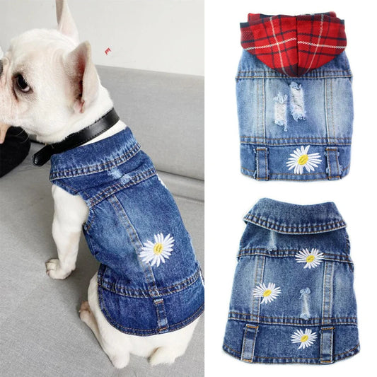 Dog Denim Jacket