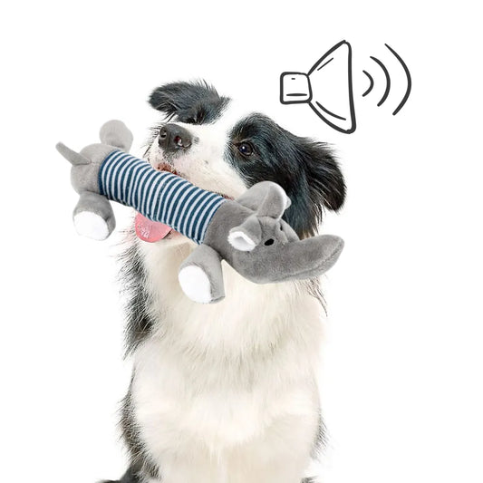 Dog Plush Squeaky Toys