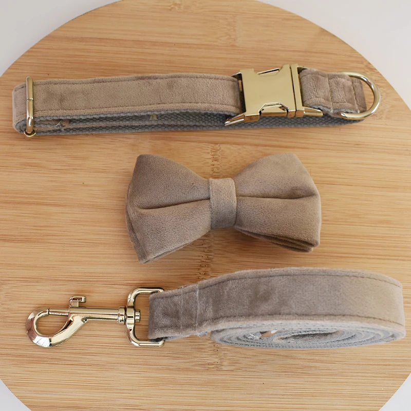 Unique Dog Collar
