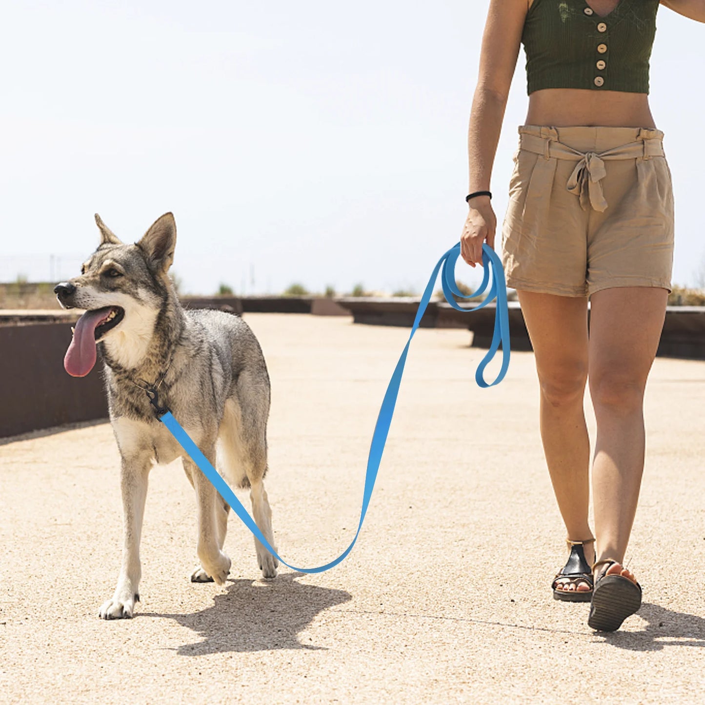 Waterproof Dog Leash