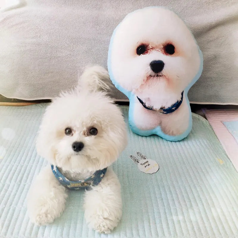 Custom Dog Pillow