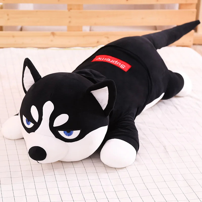 Siberian Husky Plush Toy in Angry Face Black Color & Black Shirt