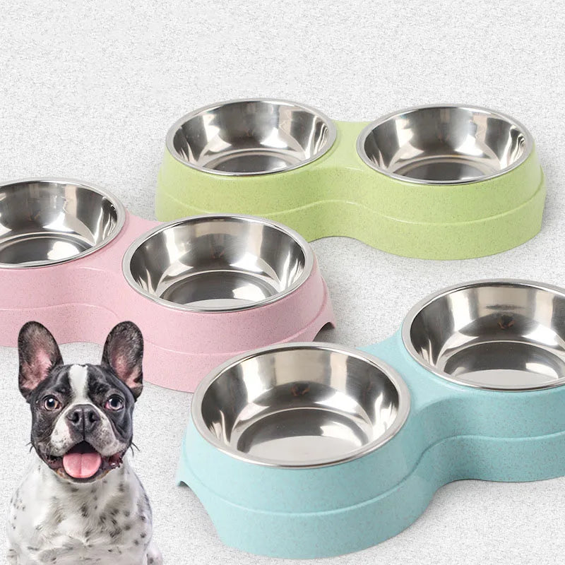Bowl Dog Food