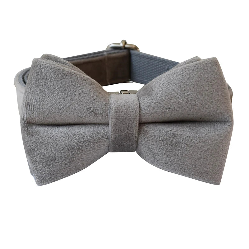 Unique Dog Collar in Bow Collar