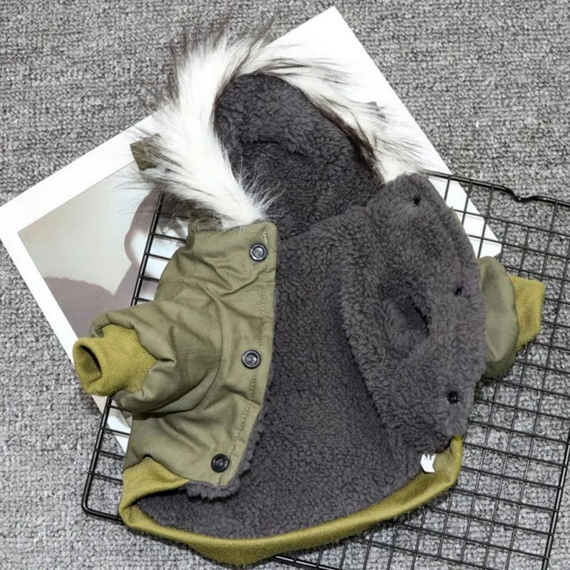 Small Dog Winter Coat, photo 2