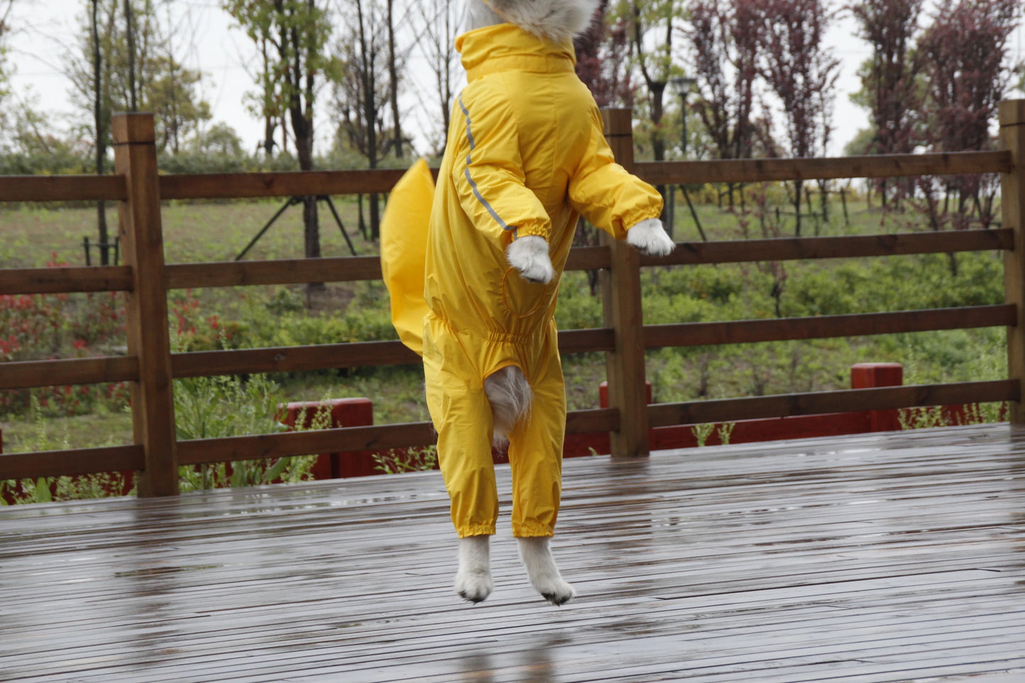 Large Dog Raincoat