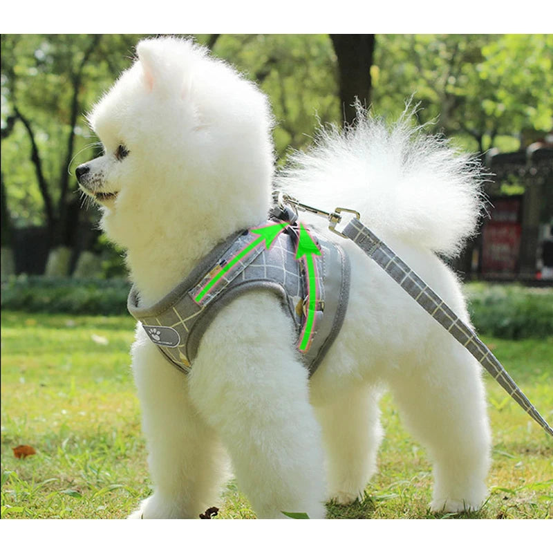 Mesh Harness For Small Dogs