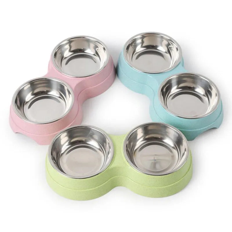 Bowl Dog Food
