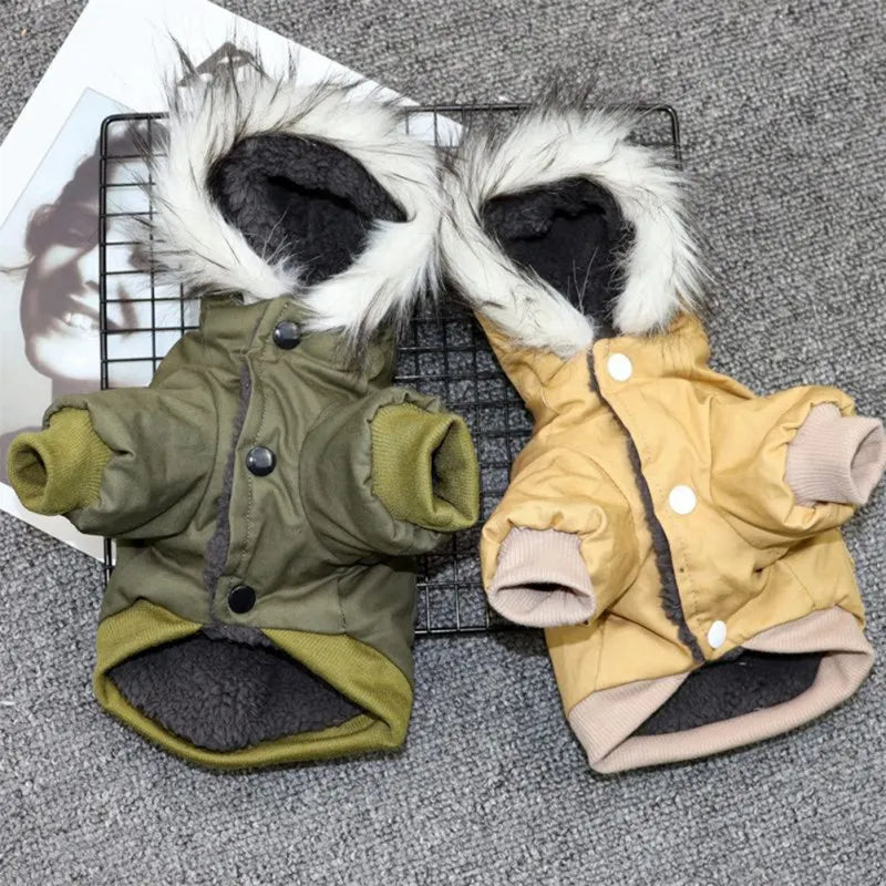 Small Dog Winter Coat