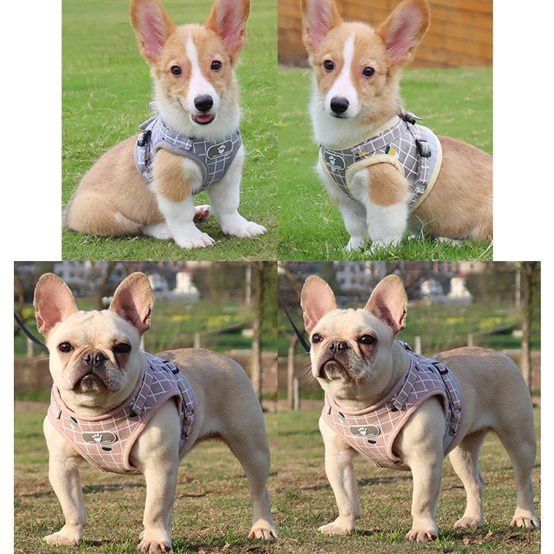 Mesh Harness For Small Dogs