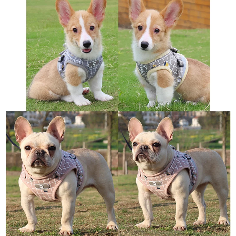 Mesh Harness For Small Dogs, photo 3