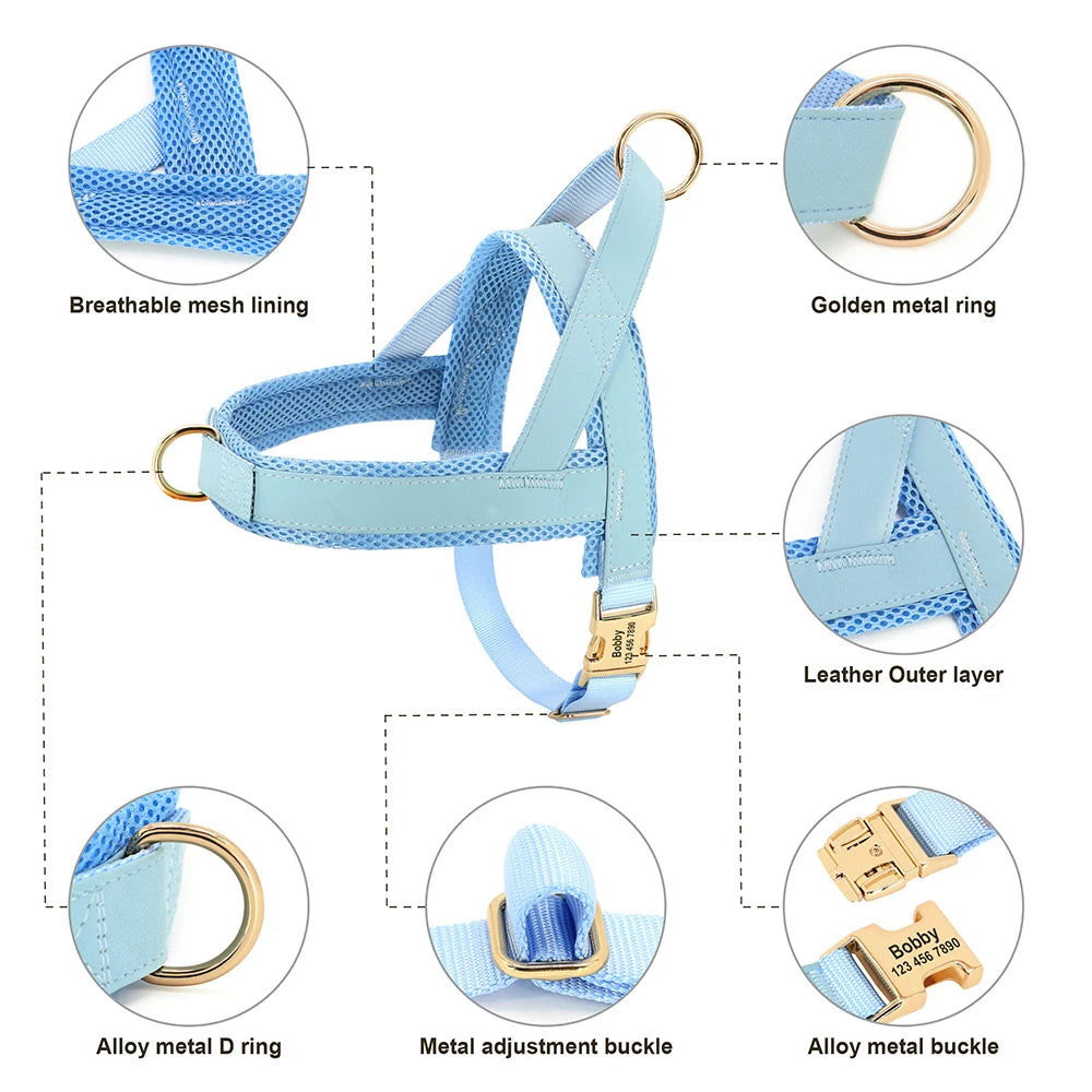 Personalized No Pull Dog Harness, photo 16