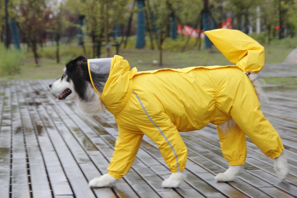 Large Dog Raincoat in Yellow