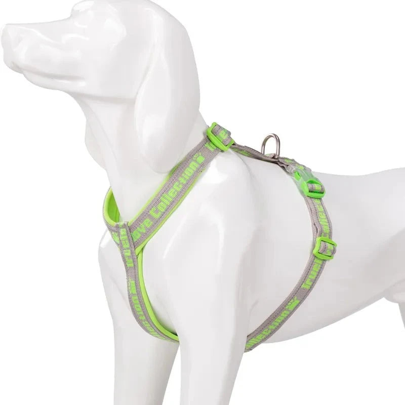 Easy Walk Harness For Dogs in Grass Green