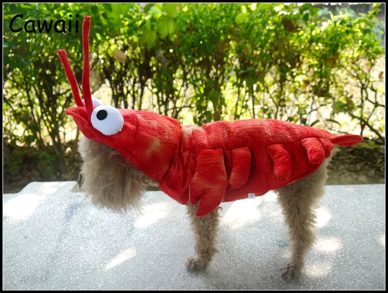 Dog Lobster Costume