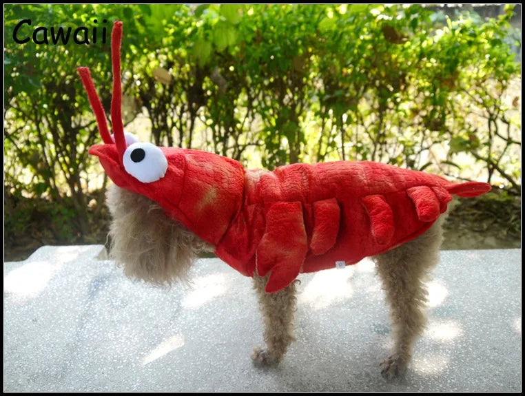 Dog Lobster Costume, photo 5