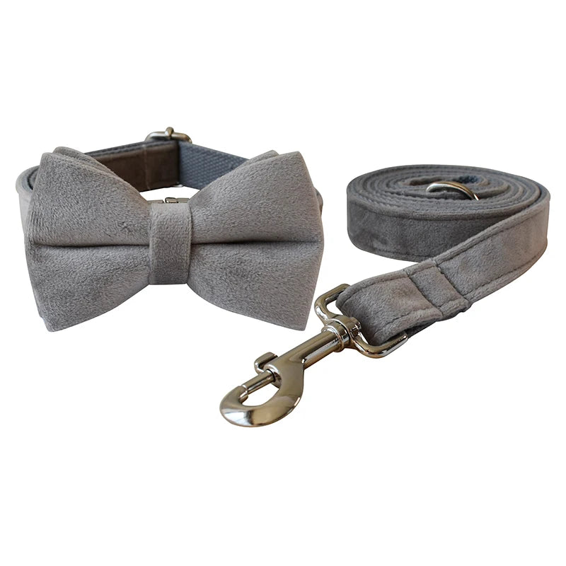 Unique Dog Collar in Bow Collar & Leash