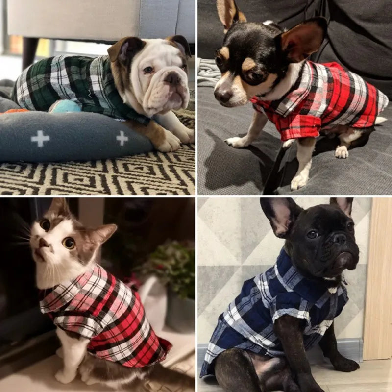Dog Plaid Shirt