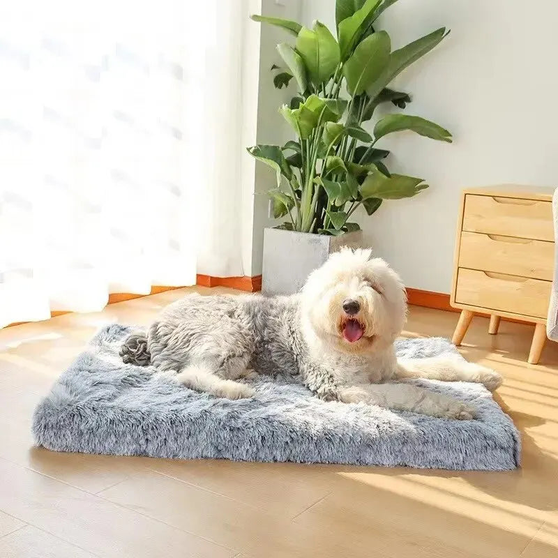 Plush Dog Bed