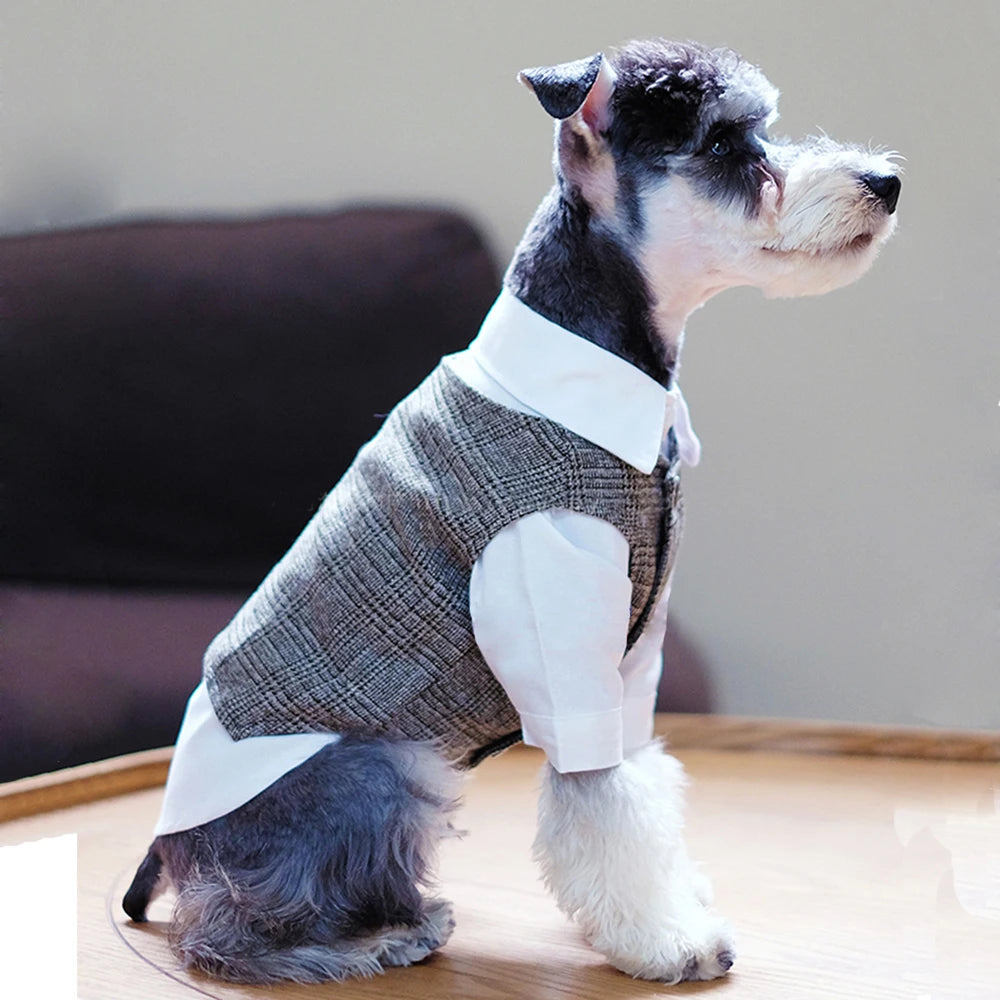 Dog Clothes Wedding, photo 3