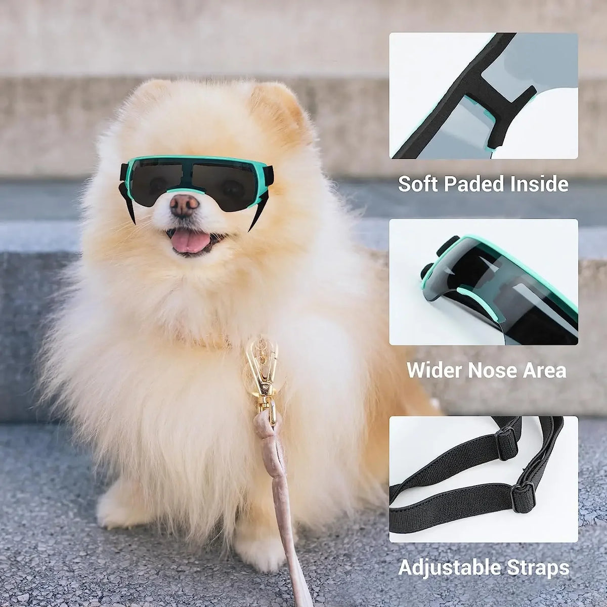 Small Dog Goggles, photo 2