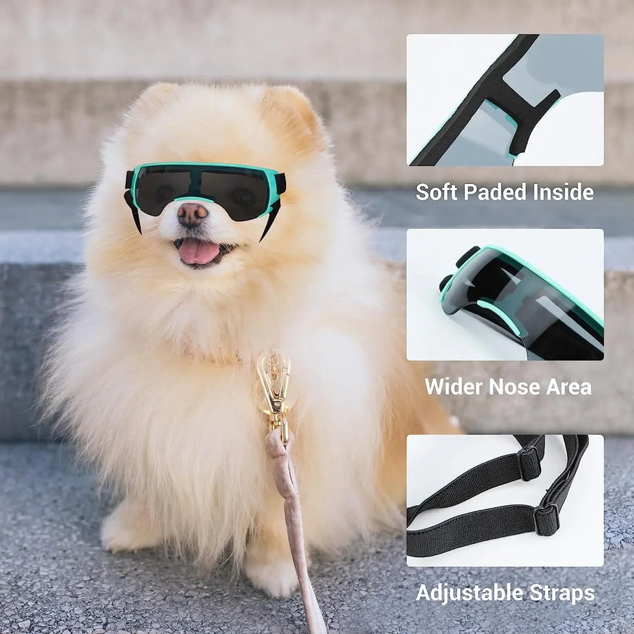 Designed with your dog's comfort in mind, the goggles feature a specially curved lens and a soft foam pad inside.