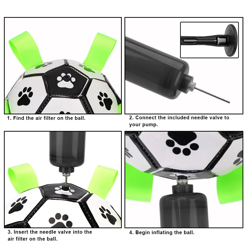 Dog Ball