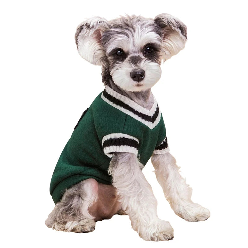 Dog Sweater Dog in Green