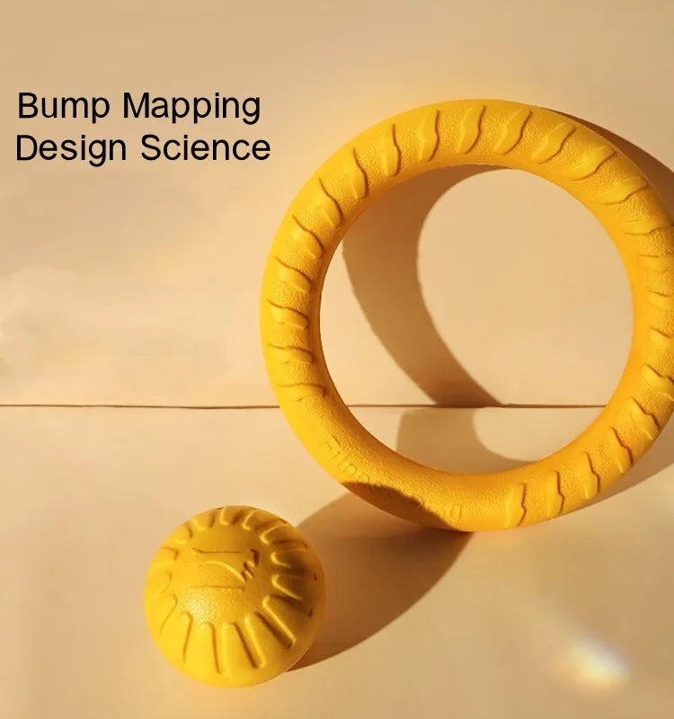 Dog Ring Toy
