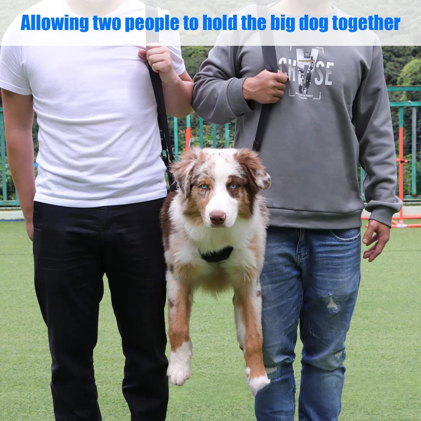 Dog Sling For Back Legs