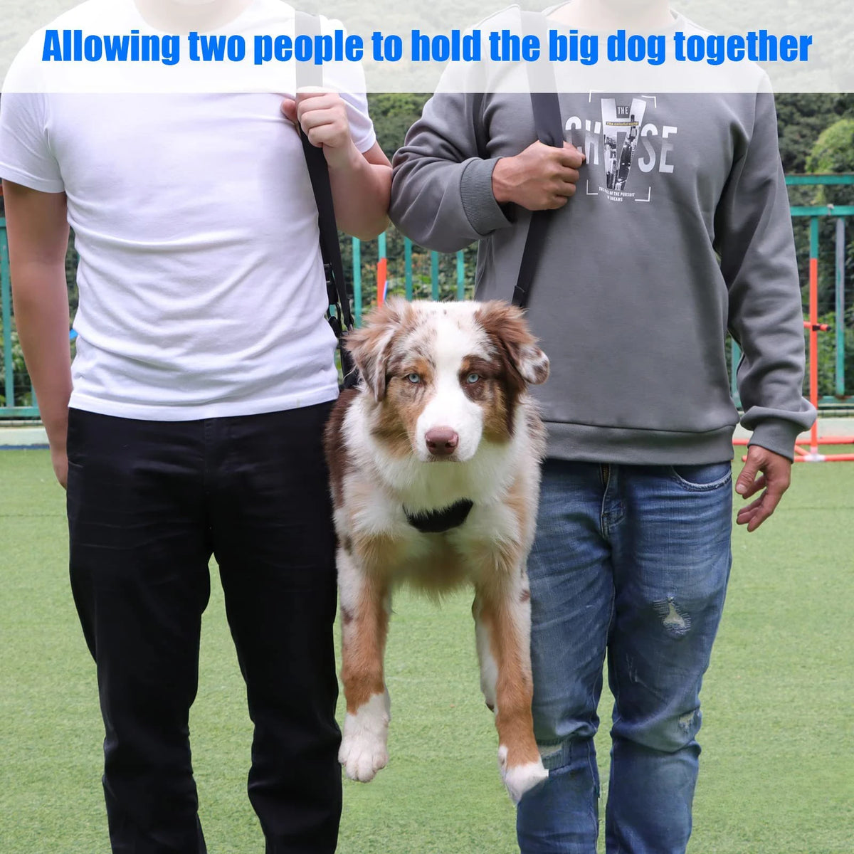Dog Sling For Back Legs, photo 5