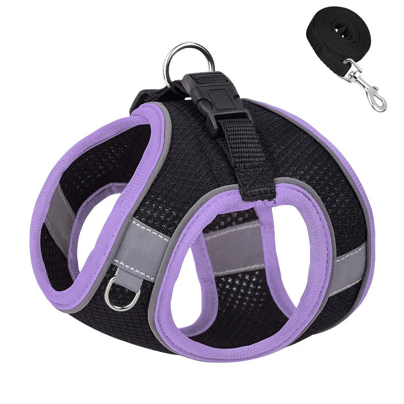 Dog Harness With Reflective in Purple Black