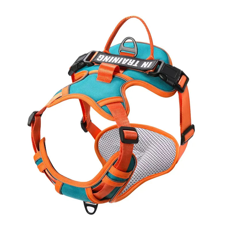 Personalized Dog Harness No Pull in Cyan Blue Orange
