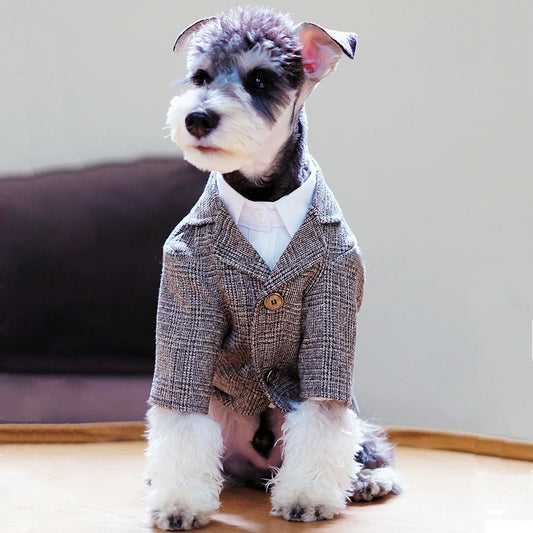Dog Clothes Wedding