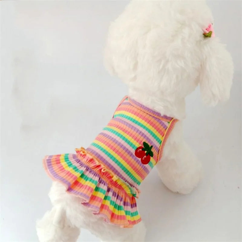 Dog Dog Dress