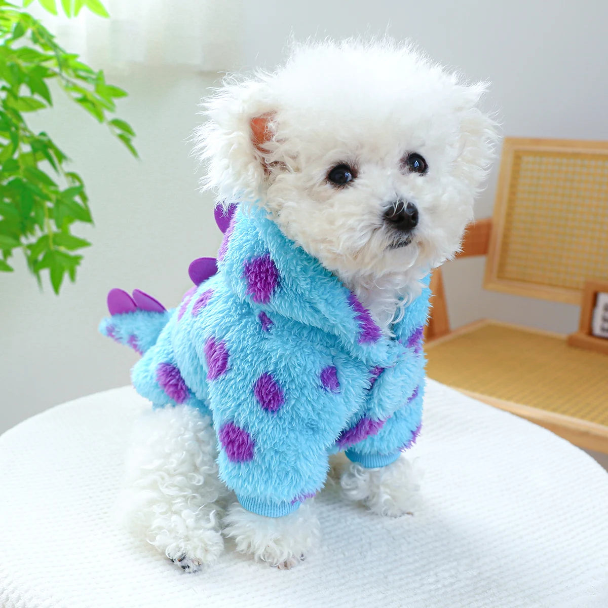 Dog Dinosaur Hoodie