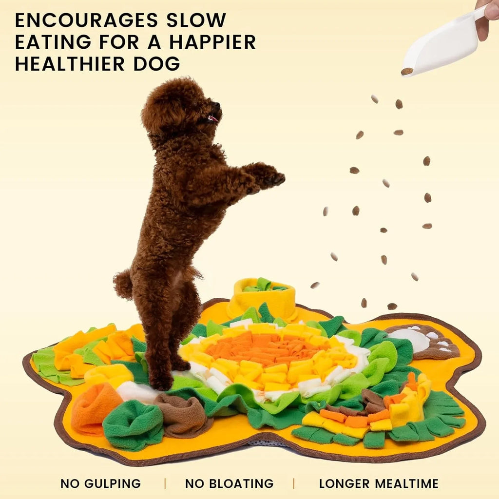 Best Snuffle Mat For Dogs, photo 3