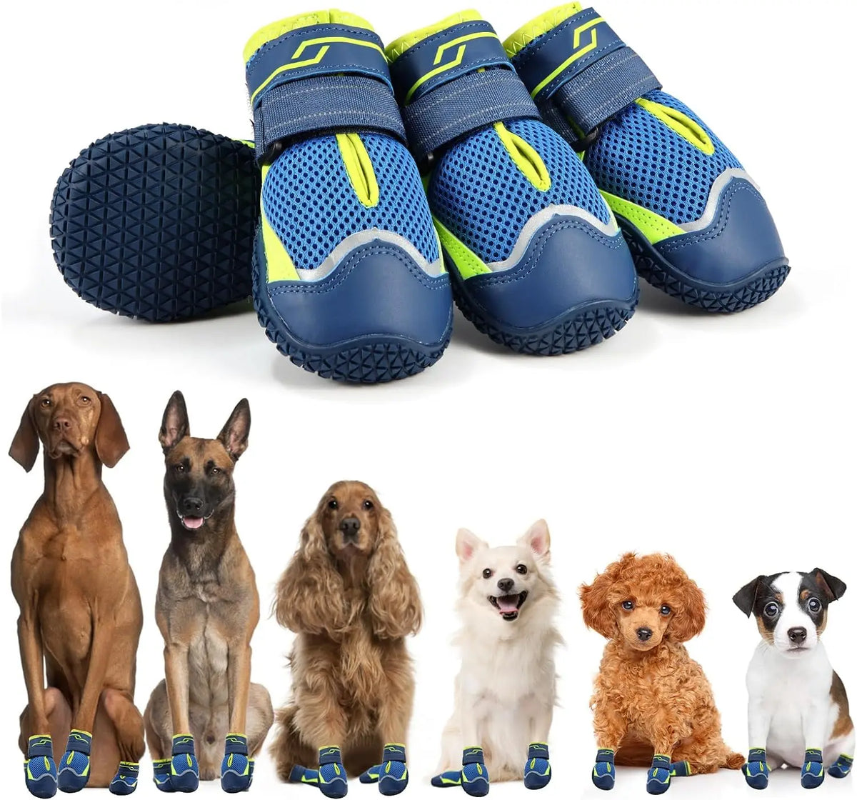 Outdoor Dog Shoes in Blue