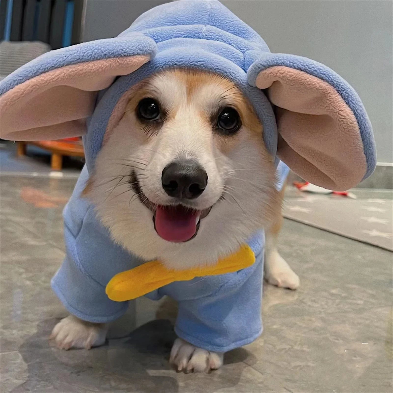 Dog Elephant Costume